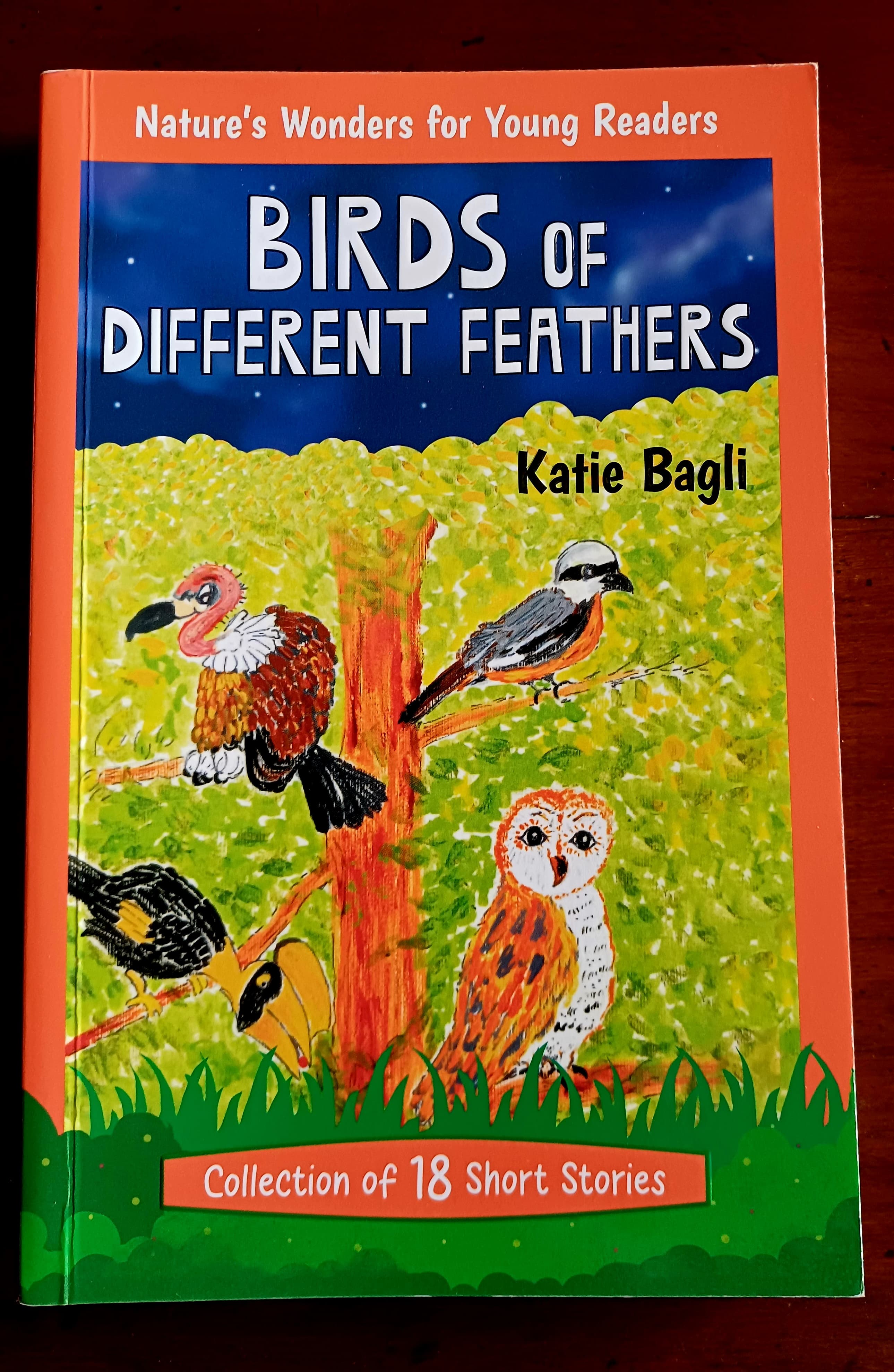 Birds of Different Feathers book cover