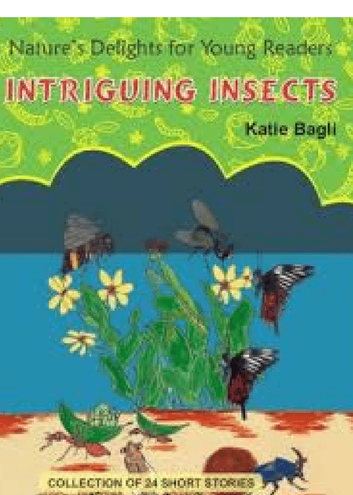 Intriguing Insects book cover