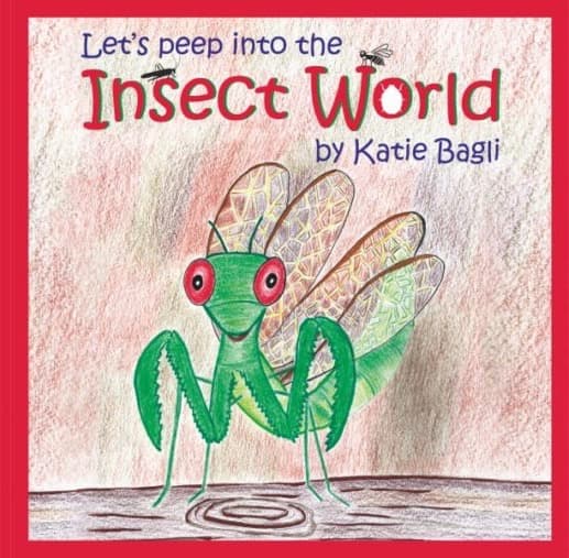Let's Peep Into the World of Insects book cover