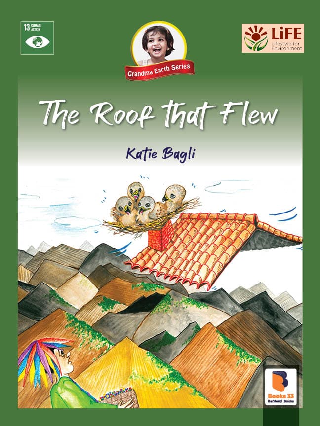 The Roof that Flew book cover