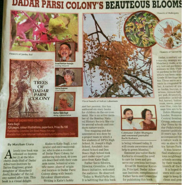 Dadar Trees - Review scan